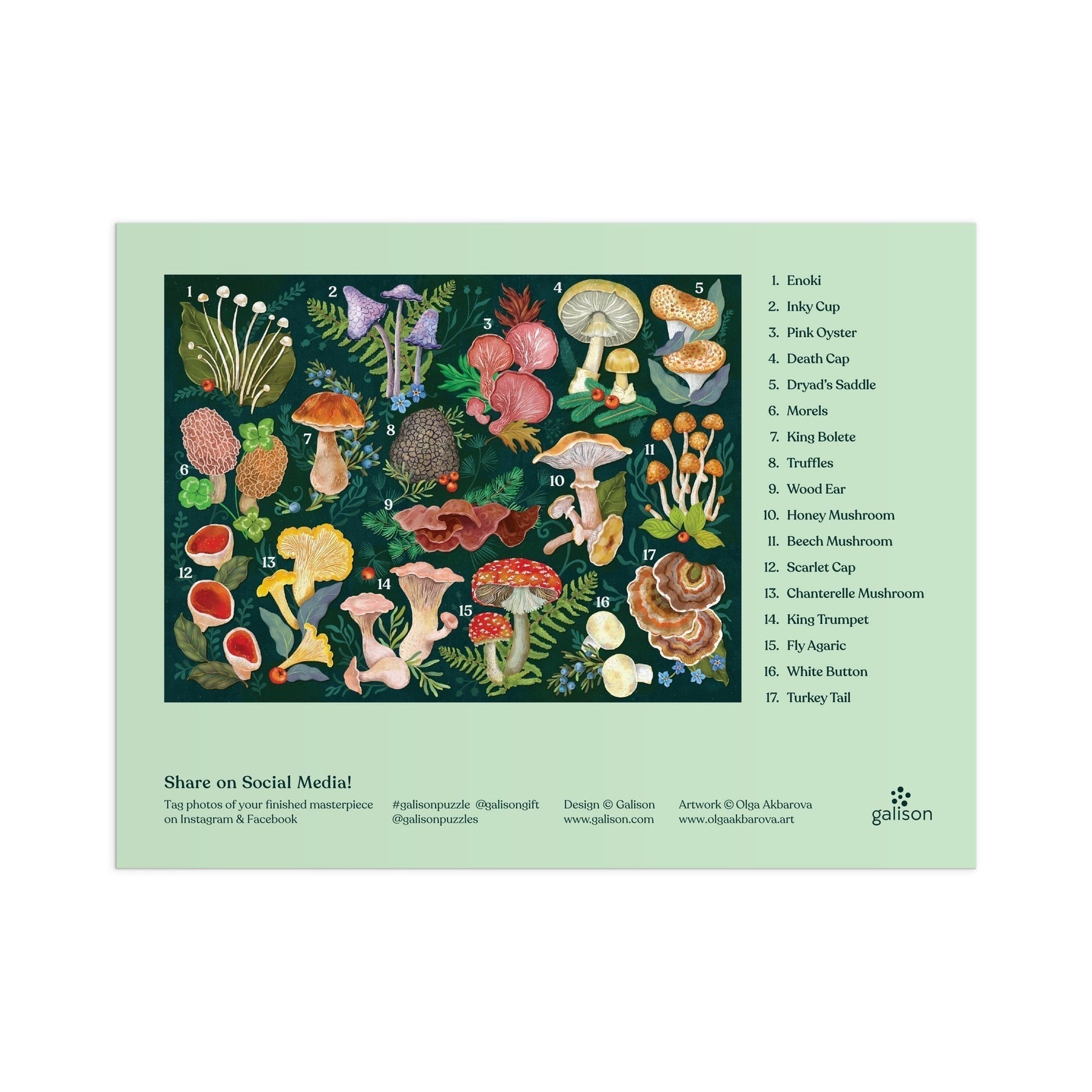 Gombák világa Galison 1000 darabos kirakó puzzle (GA-9780735382268) - puzzlegarden