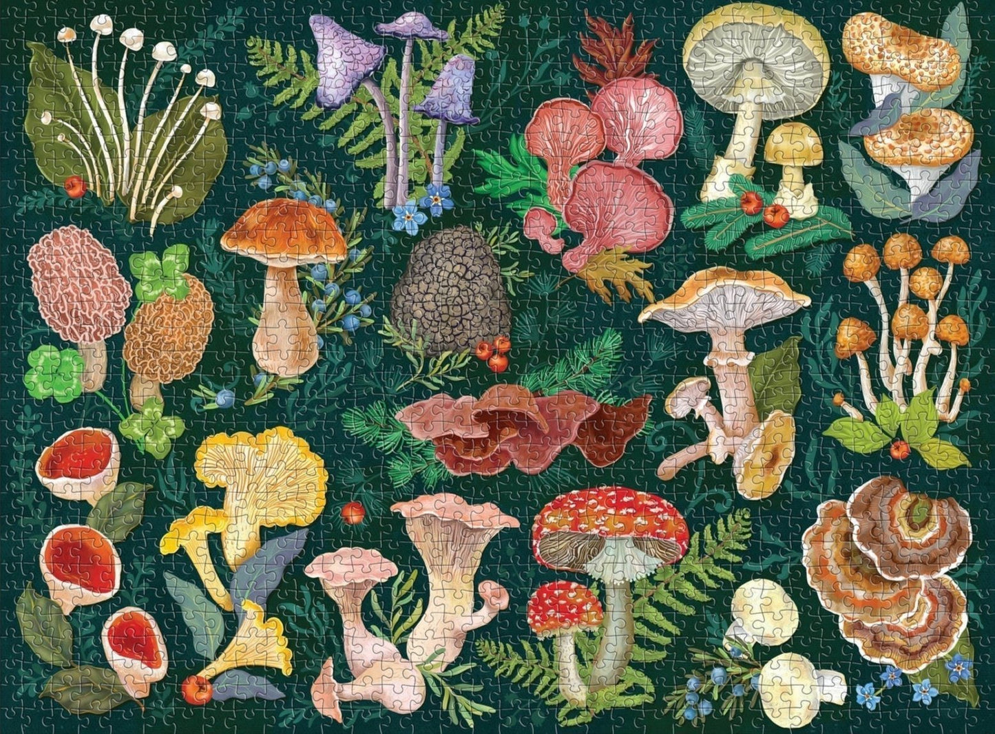 Gombák világa Galison 1000 darabos kirakó puzzle (GA-9780735382268) - puzzlegarden