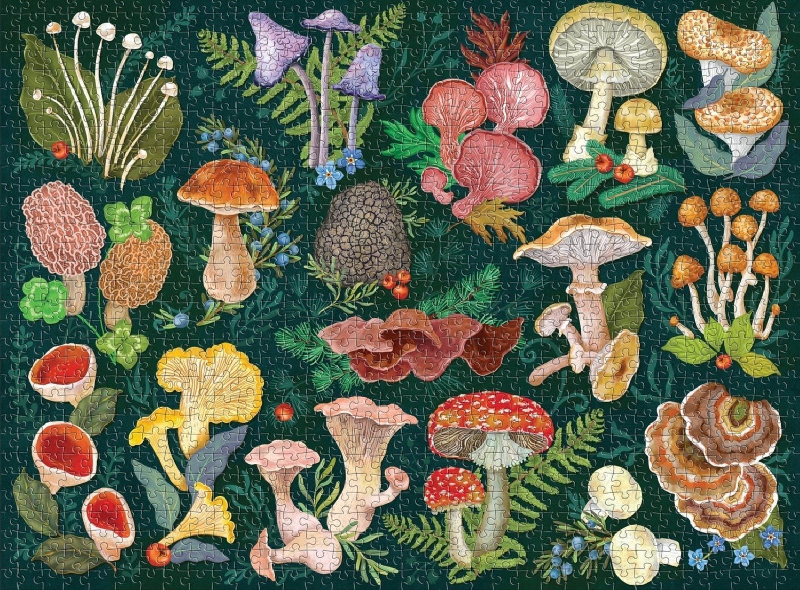 Gombák világa Galison 1000 darabos kirakó puzzle (GA-9780735382268) - puzzlegarden