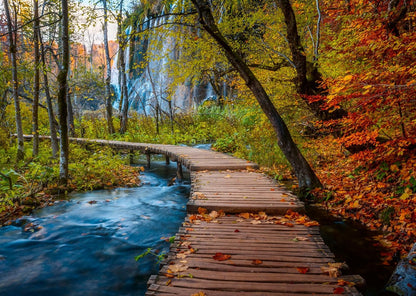 Gyönyörű Gyalogutak - Őszi ösvény az erdőben, Horvátország Ravensburger 1000 darabos kirakó puzzle (RA-12001764) - puzzlegarden