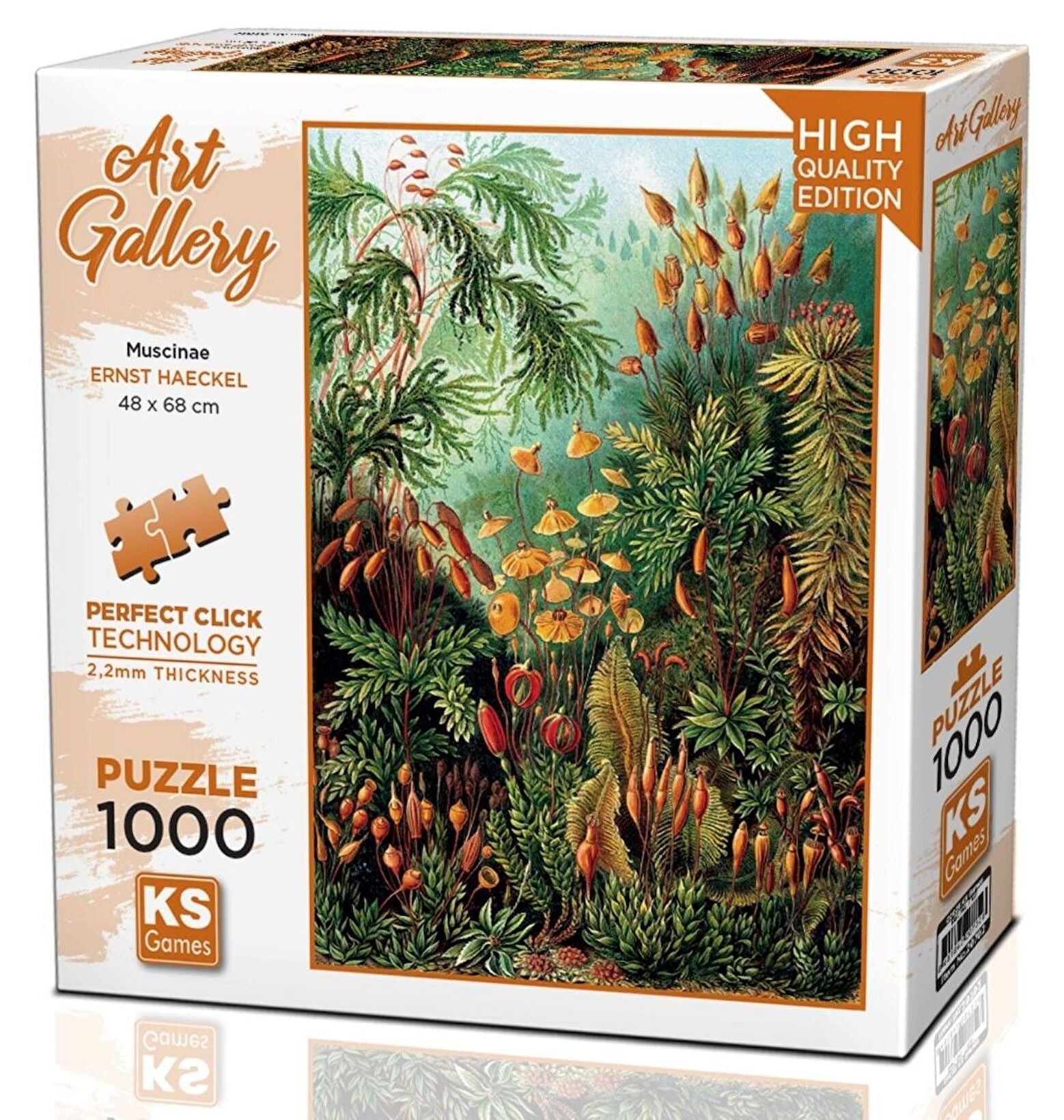 Haeckel - Mohafélék KS Games 1000 darabos kirakó puzzle (KS - 20702 8681842207028) - puzzlegarden