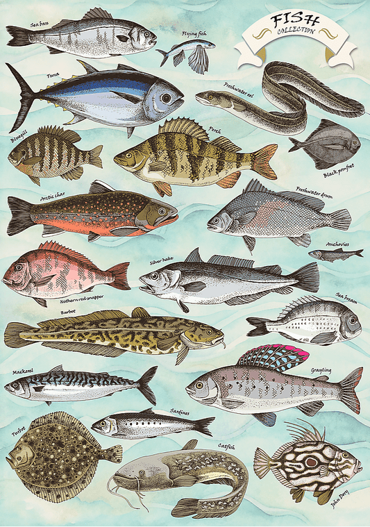 Halak Trefl 500 darabos kirakó puzzle (TR - 37619) - puzzlegarden