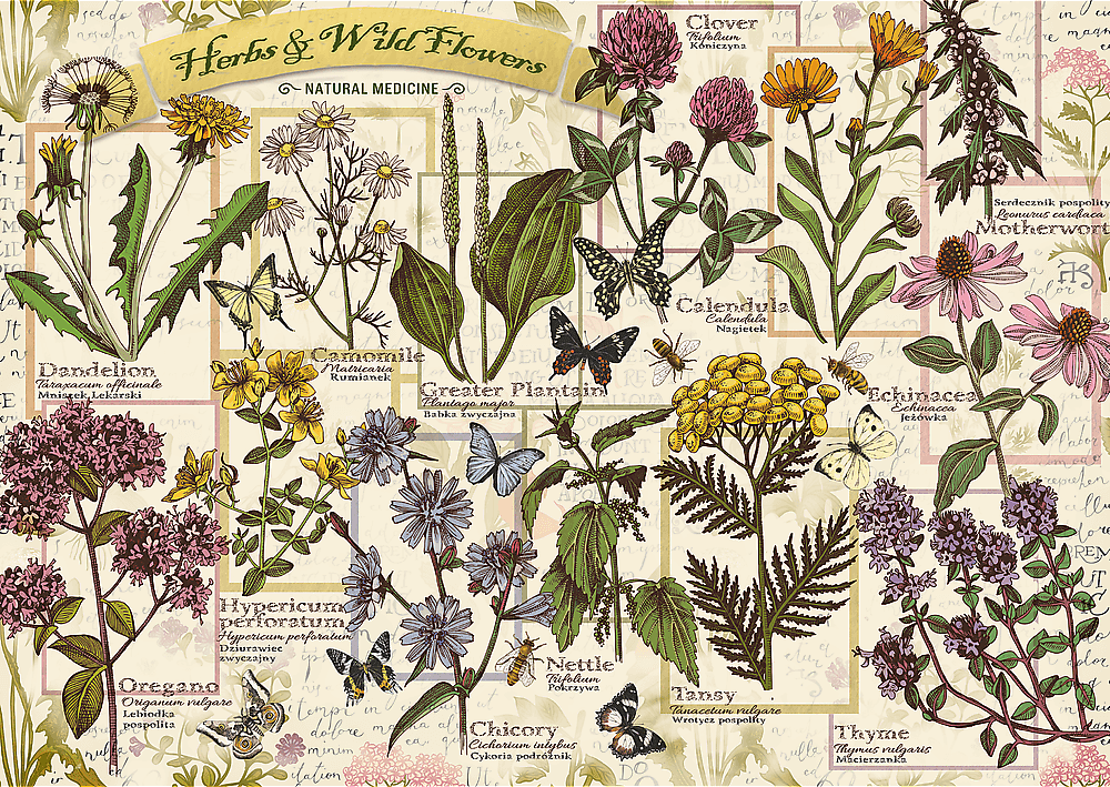 Herbárium: Gyógynövények Trefl 500 darabos kirakó puzzle (TR-37478) - puzzlegarden