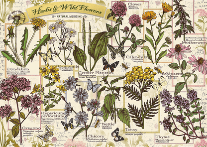 Herbárium: Gyógynövények Trefl 500 darabos kirakó puzzle (TR-37478) - puzzlegarden