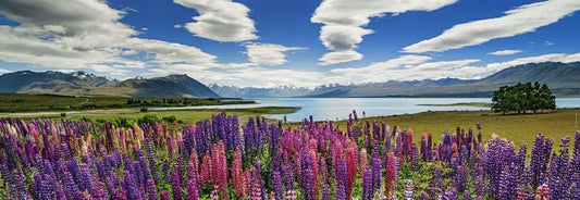 Humboldt - Tekapo - tó - panoráma HEYE 1000 darabos kirakó puzzle (HE - 29902) - puzzlegarden