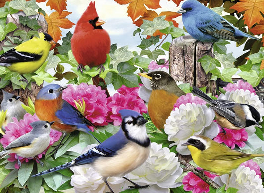 Kerti Madarak Ravensburger 500 darabos kirakó puzzle (RA - 14223) - puzzlegarden