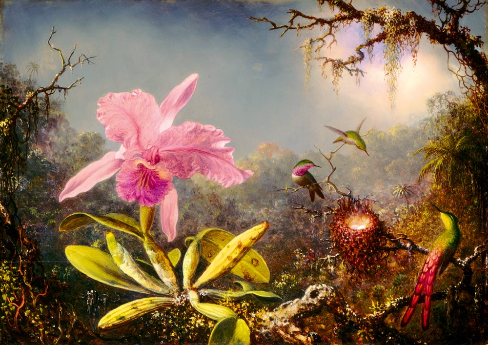 Martin Johnson Heade - Cattleya Orchidea és három Kolibri Bluebird 1000 darabos kirakó puzzle (BB-P-60097 3663384600975) - puzzlegarden