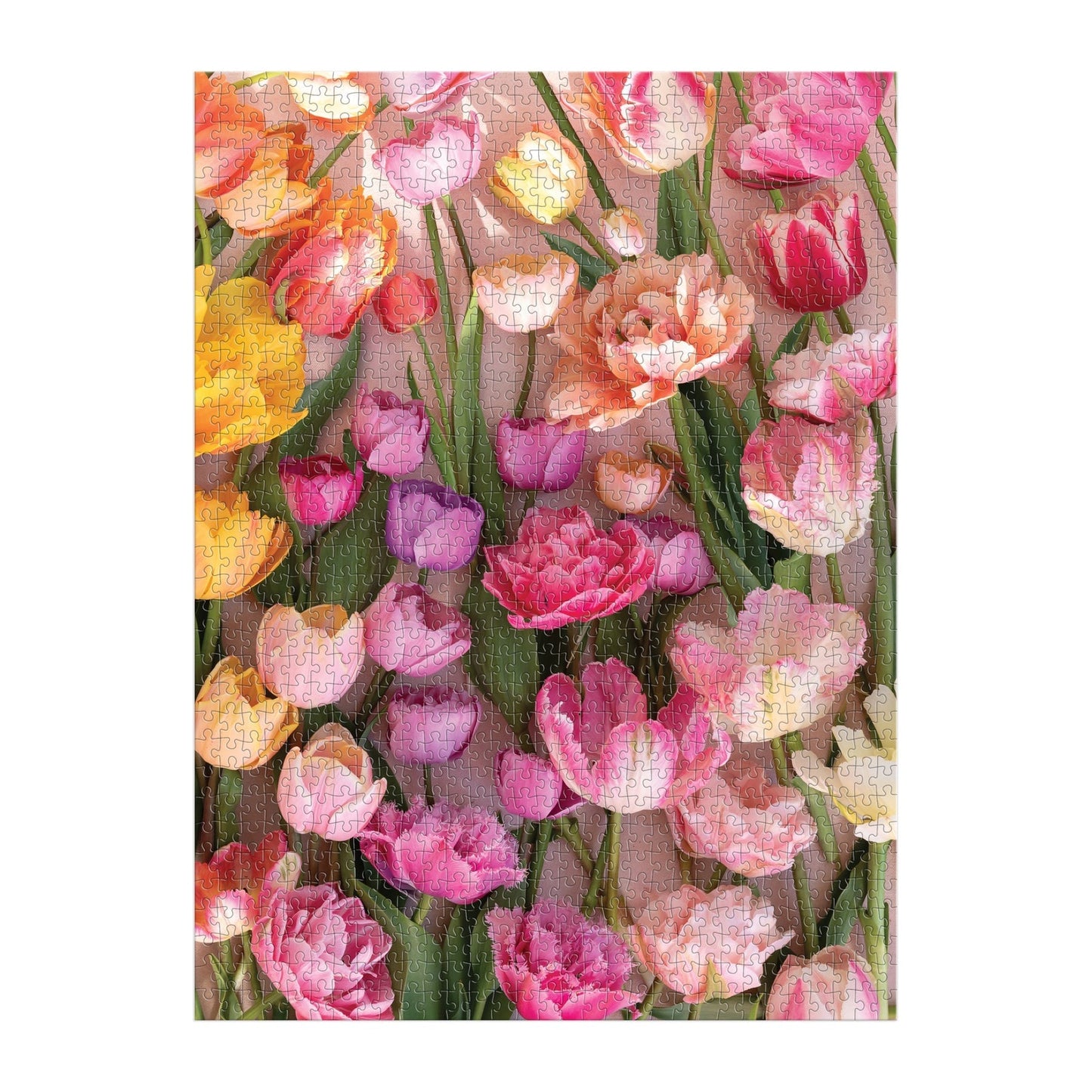 Múló tulipánok Galison 1000 darabos kirakó puzzle (GA-9780735385184) - puzzlegarden