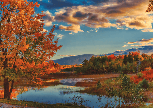 Ősz az Acadia Nemzeti Parkban Trefl 1000 darabos kirakó puzzle (TR-USA_99320) - puzzlegarden