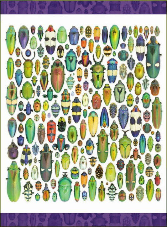 Pompás lények: Rovar művészet Pomegranate 1000 darabos kirakó puzzle (POM-AA286 9780764932250) - puzzlegarden