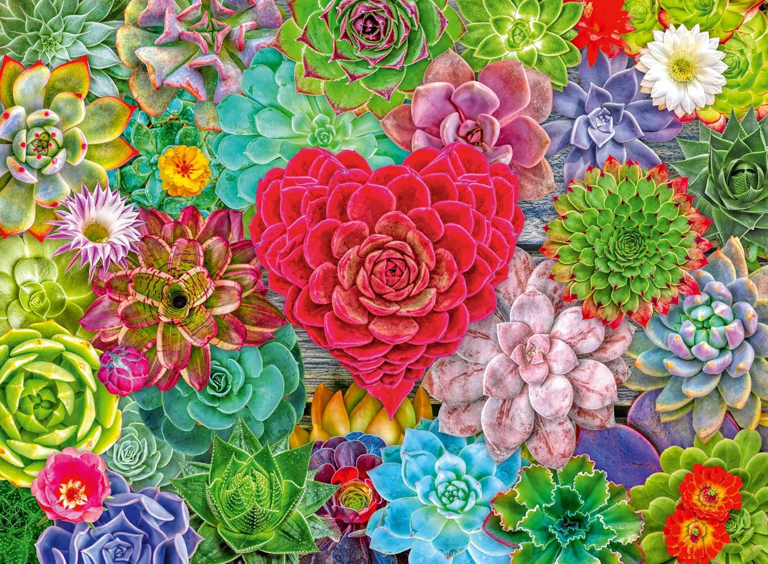 Pozsgás szerelem Ravensburger 500 darabos kirakó puzzle (RA-12001469) - puzzlegarden