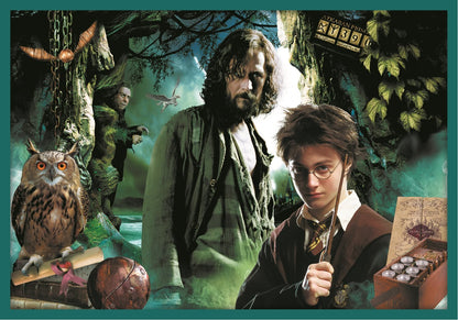 10 in 1 - Harry Potter Trefl 48 darabos kirakó puzzle (TR-90392 5900511903928) - puzzlegarden