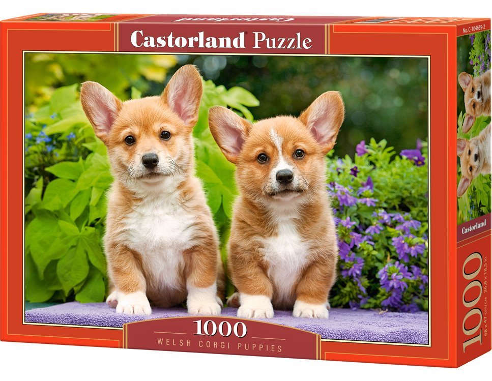 Corgi kiskutyák Castorland 1000 darabos kirakó puzzle (C-104659 5904438104659) - puzzlegarden