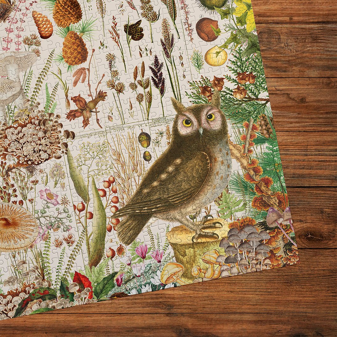 RHS: Őszi flóra Gibsons 1000 darabos kirakó puzzle (G - G7167) - puzzlegarden