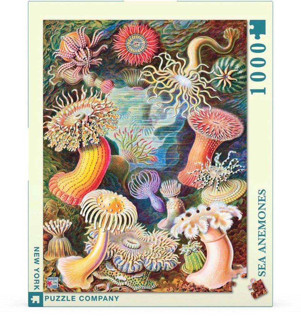 Tengeri Anemónák New York Puzzle Company 1000 darabos kirakó puzzle (NYPC - NPZPD1921 819844015534) - puzzlegarden