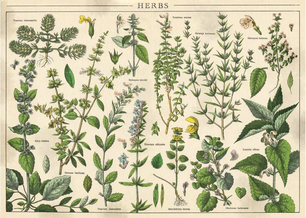 Vintage természet 1 Interdruk 1000 darabos kirakó puzzle (ID-PUZ1000VN1) - puzzlegarden