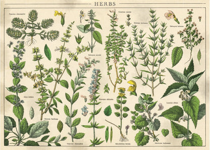 Vintage természet 1 Interdruk 1000 darabos kirakó puzzle (ID-PUZ1000VN1) - puzzlegarden